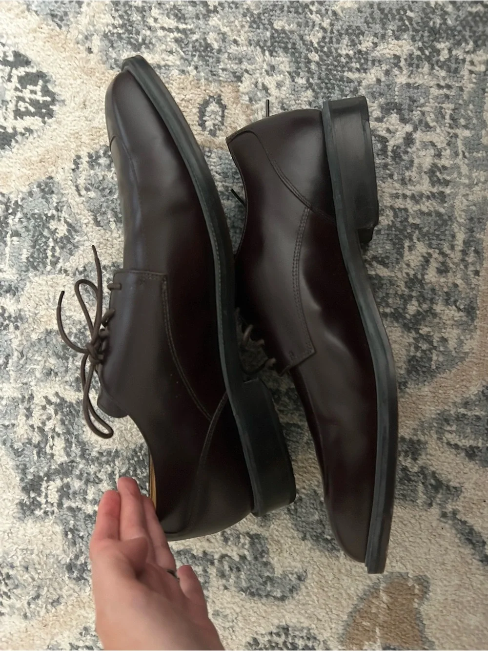 Rockport Men's Leather Derby Shoes in Dark Brown/ Cherry